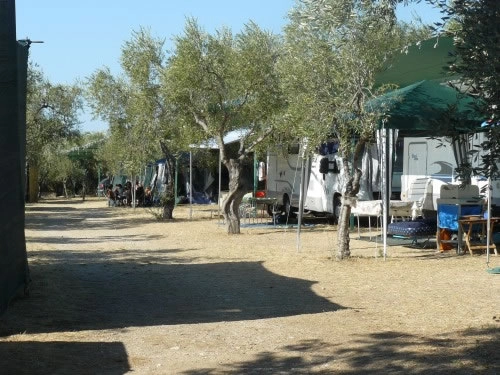 zobacz camping - zdjęcie 17