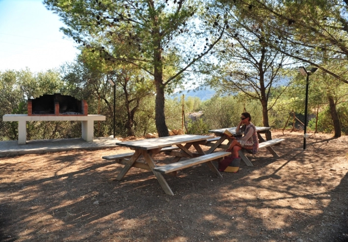 zobacz camping - zdjęcie 13