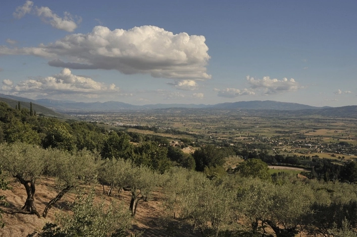 zobacz camping - zdjęcie 41