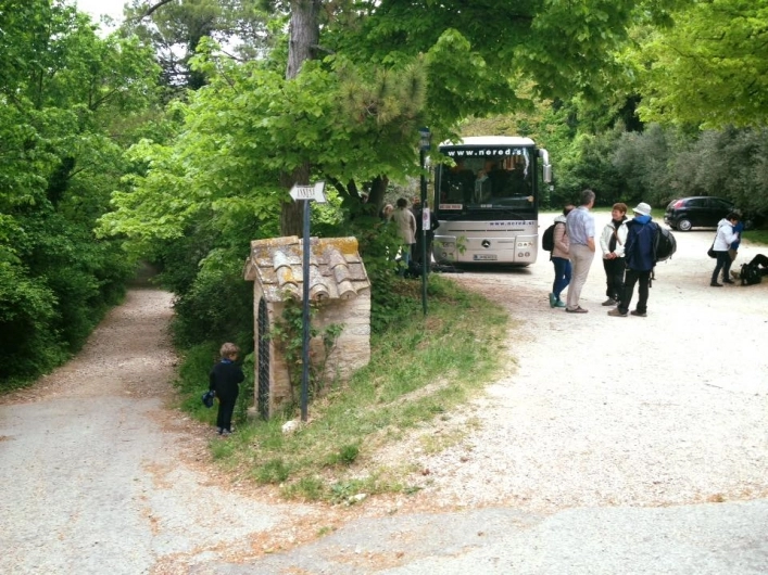 zobacz camping - zdjęcie 35