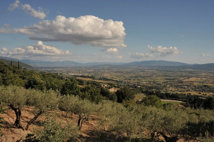 zobacz camping - zdjęcie 32