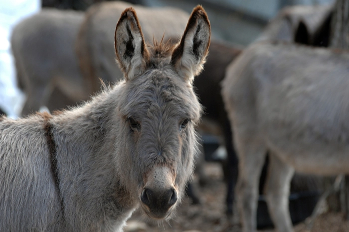 zobacz camping - zdjęcie 30