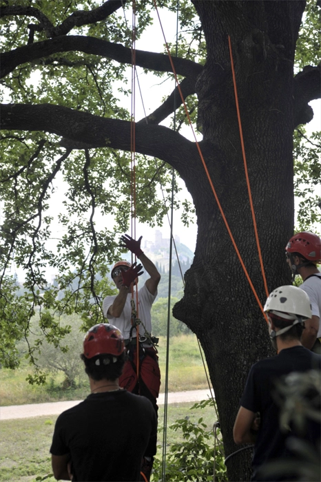 zobacz camping - zdjęcie 28