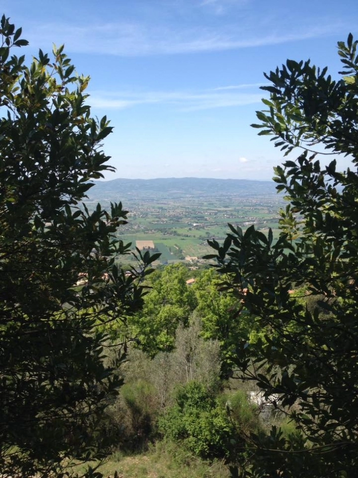 zobacz camping - zdjęcie 26