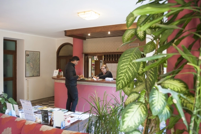 zobacz camping - zdjęcie 22