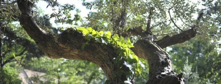 zobacz camping - zdjęcie 20