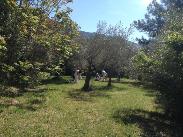 zobacz camping - zdjęcie 14