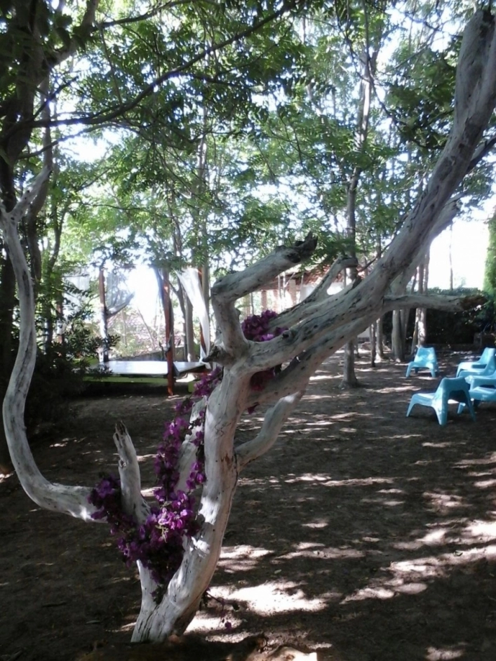 zobacz camping - zdjęcie 46