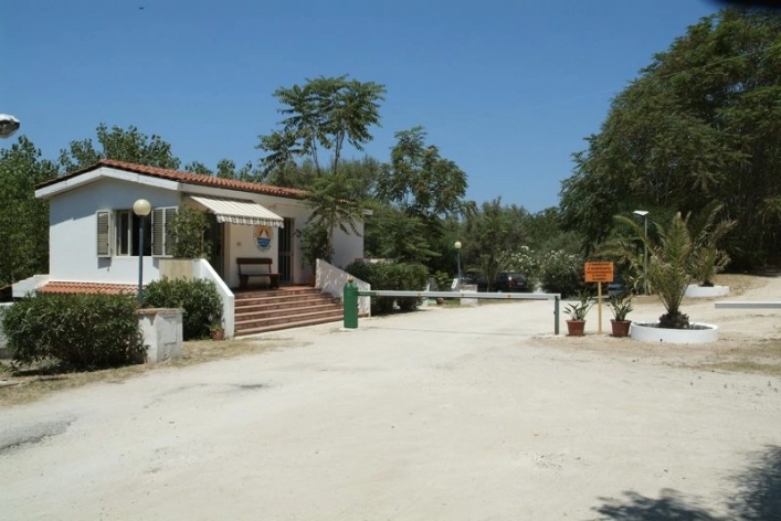 zobacz camping - zdjęcie 37