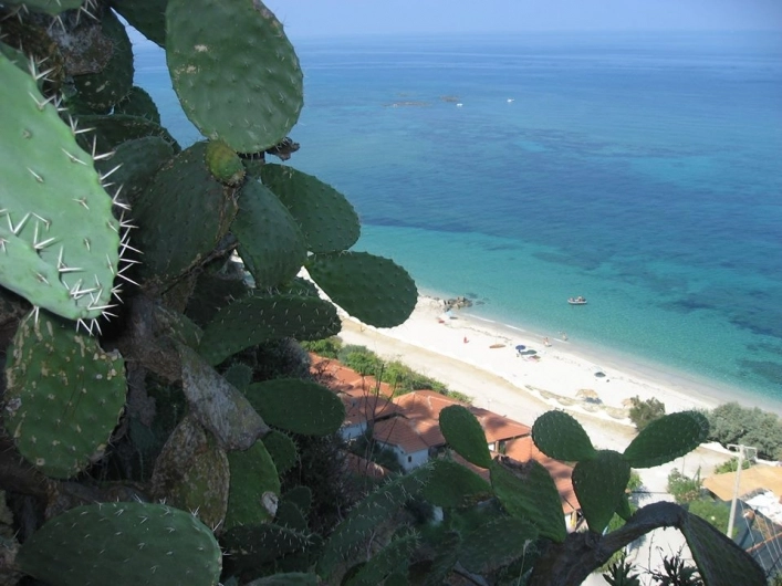 zobacz camping - zdjęcie 17