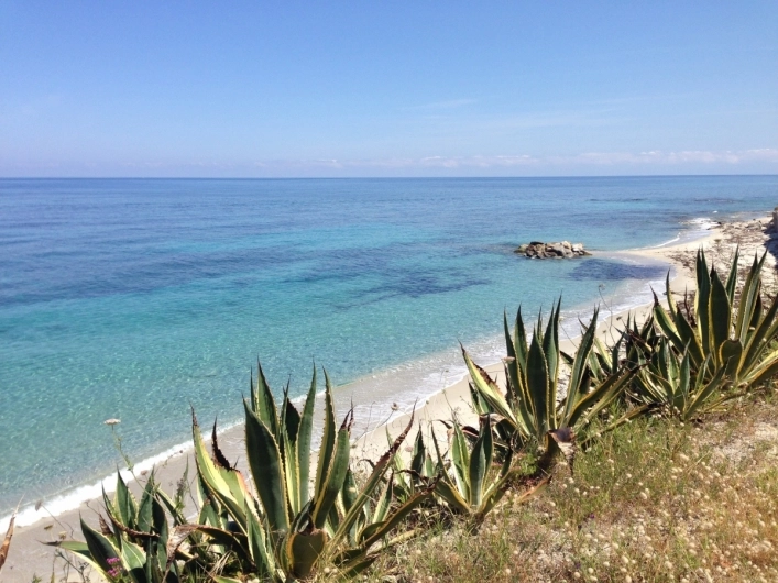 zobacz camping - zdjęcie 4