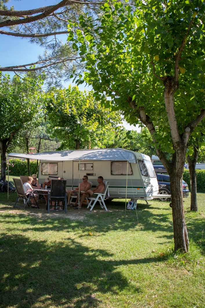 zobacz camping - zdjęcie 15