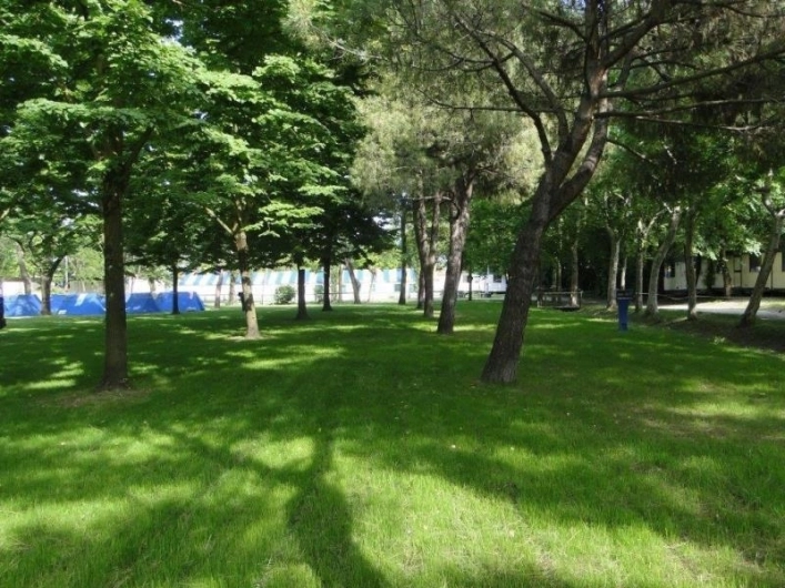 zobacz camping - zdjęcie 44