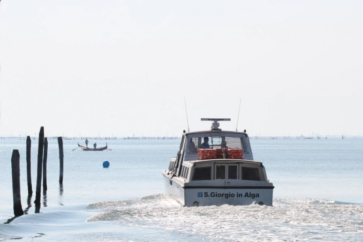 zobacz camping - zdjęcie 35