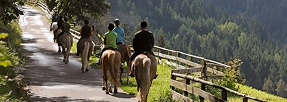 zobacz camping - zdjęcie 20