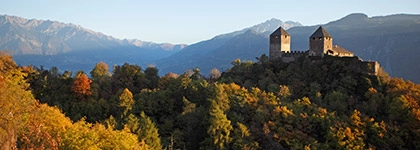 zobacz camping - zdjęcie 17