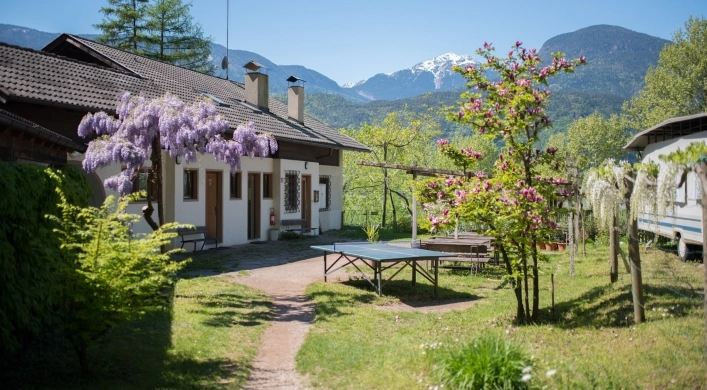 zobacz camping - zdjęcie 10