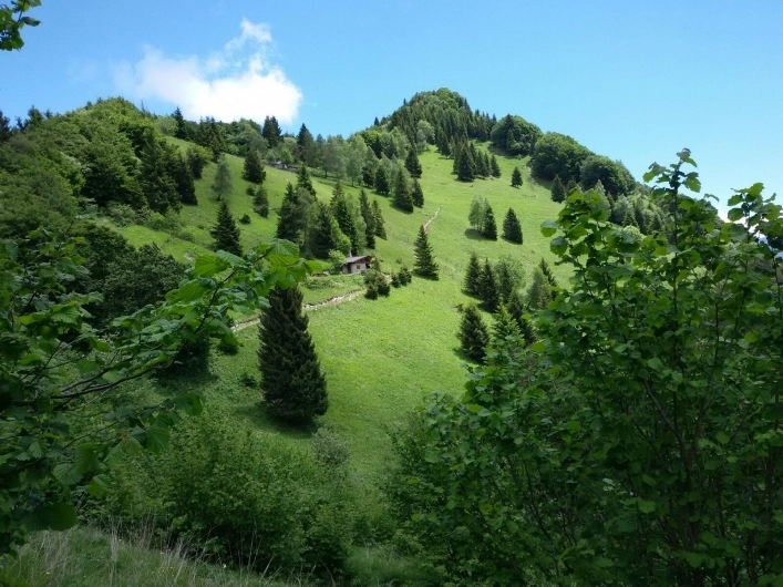 zobacz camping - zdjęcie 25