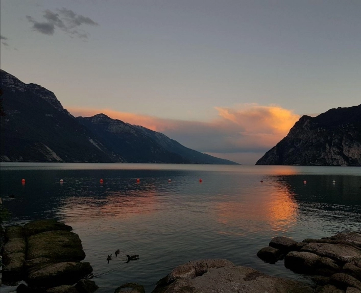 zobacz camping - zdjęcie 24