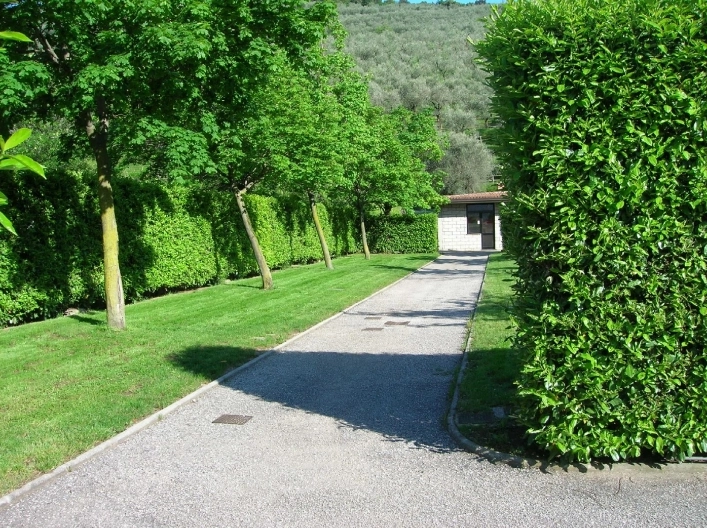 zobacz camping - zdjęcie 14