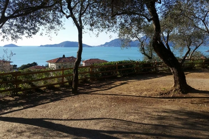 zobacz camping - zdjęcie 30