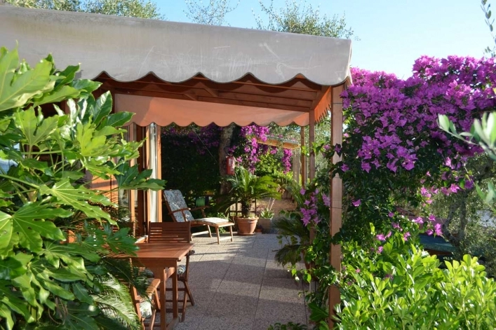 zobacz camping - zdjęcie 20