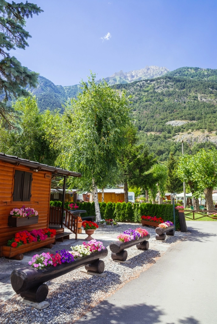 zobacz camping - zdjęcie 15