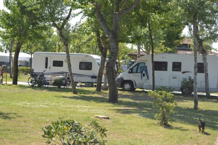 zobacz camping - zdjęcie 16