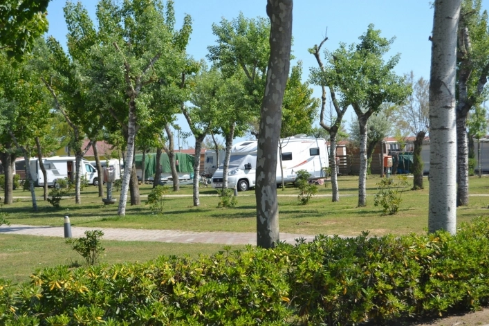 zobacz camping - zdjęcie 6