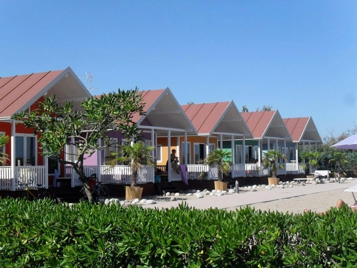 zobacz camping - zdjęcie 3