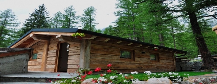 zobacz camping - zdjęcie 4