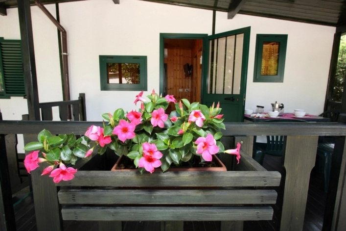 zobacz camping - zdjęcie 11