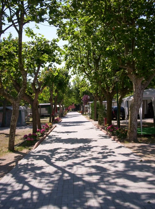 zobacz camping - zdjęcie 10