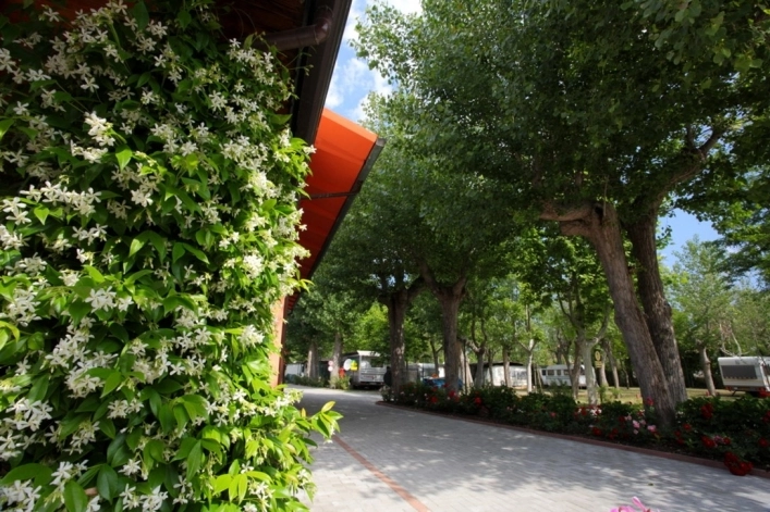 zobacz camping - zdjęcie 8