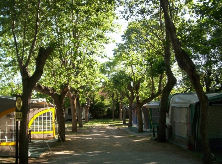 zobacz camping - zdjęcie 7