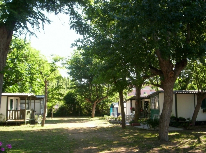 zobacz camping - zdjęcie 6