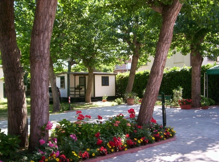 zobacz camping - zdjęcie 5