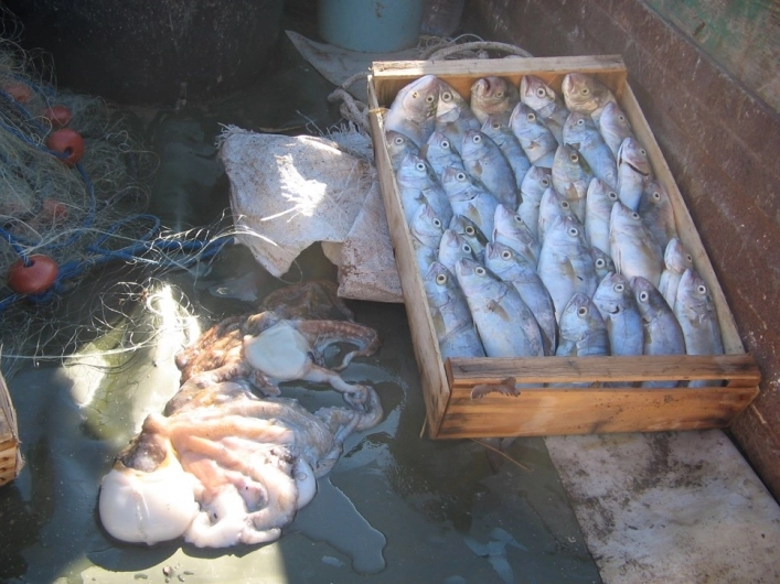 zobacz camping - zdjęcie 27