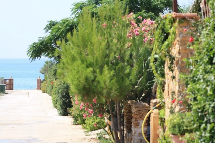 zobacz camping - zdjęcie 26