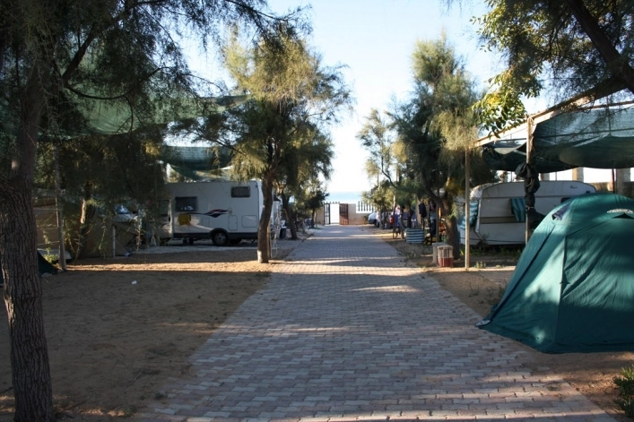 zobacz camping - zdjęcie 22