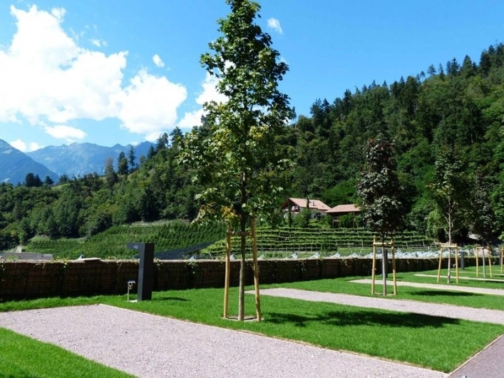 zobacz camping - zdjęcie 36