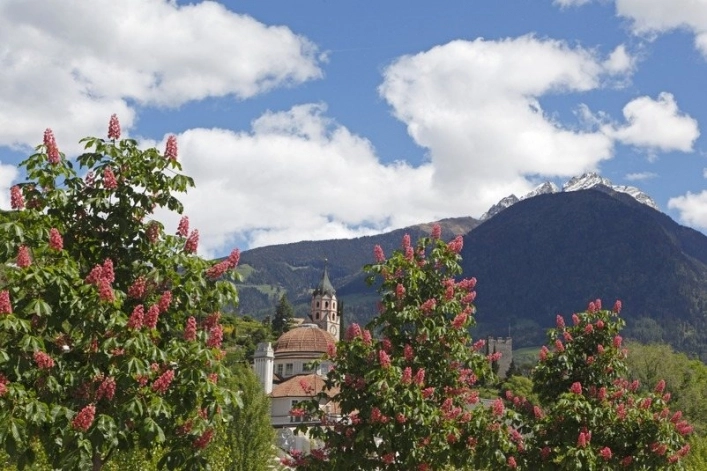 zobacz camping - zdjęcie 18