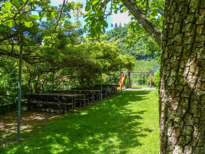 zobacz camping - zdjęcie 11