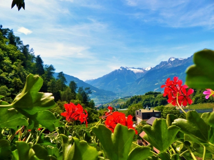 zobacz camping - zdjęcie 10