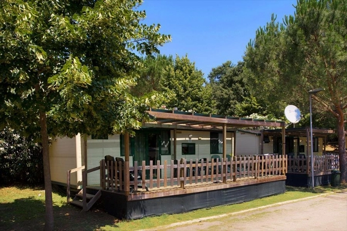 zobacz camping - zdjęcie 19