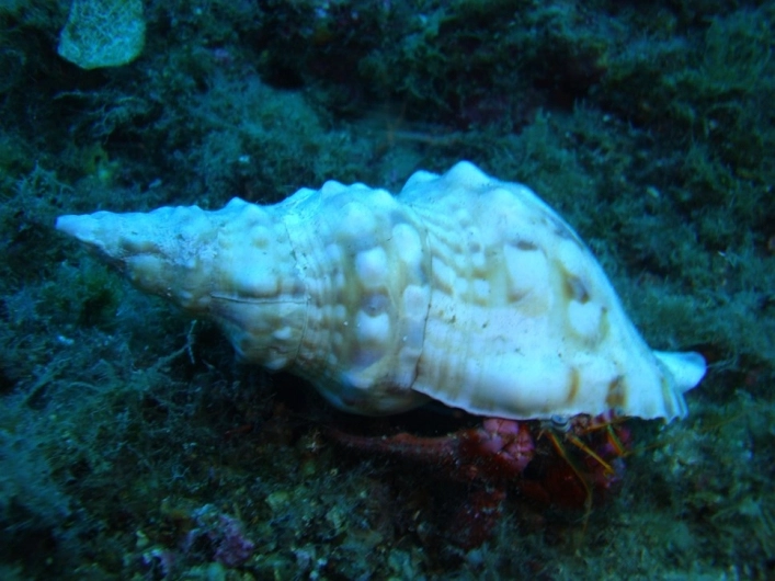 zobacz camping - zdjęcie 33