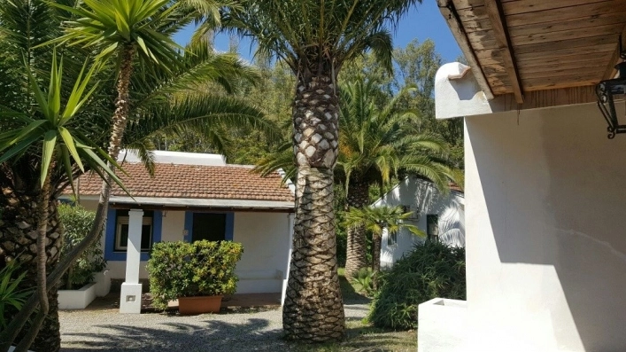 Camping il Cicero - zdjęcie 1