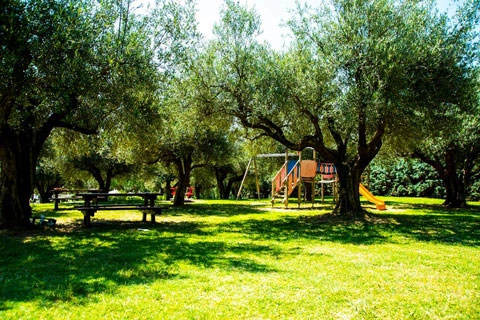 zobacz camping - zdjęcie 13