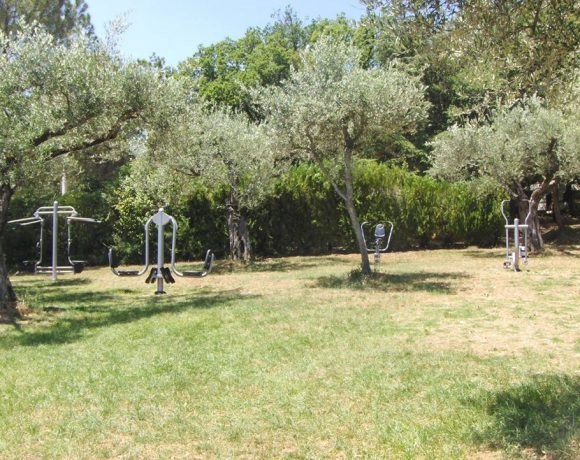 zobacz camping - zdjęcie 8