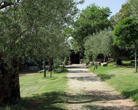 zobacz camping - zdjęcie 7